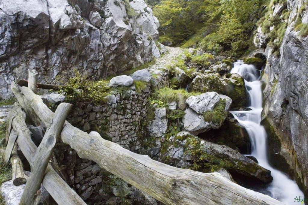 Los Molinos - Atico En Montana De Asturias Felechosa Exterior photo