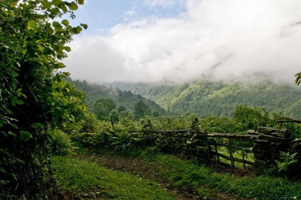 Los Molinos - Atico En Montana De Asturias Felechosa Exterior photo