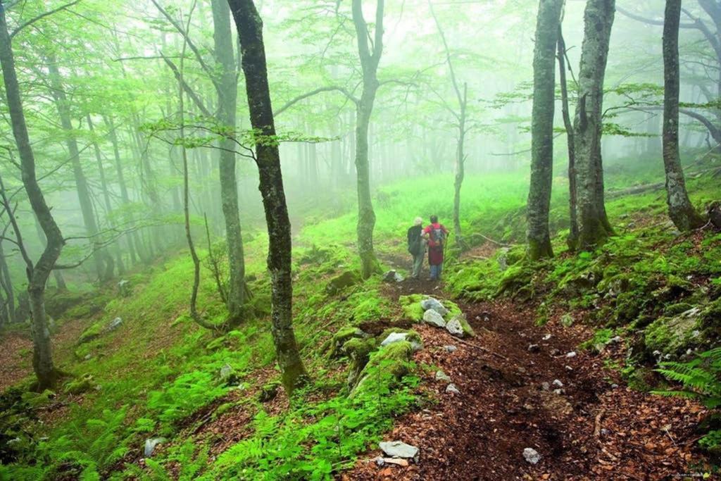 Los Molinos - Atico En Montana De Asturias Felechosa Exterior photo