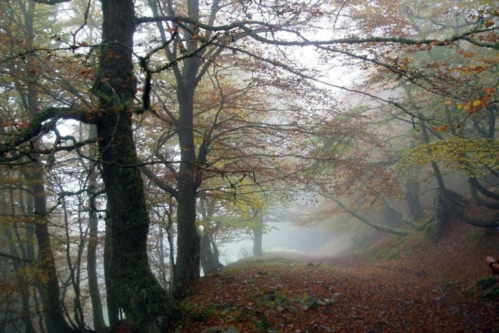 Los Molinos - Atico En Montana De Asturias Felechosa Exterior photo